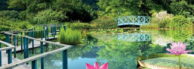 Les jardins d'eau de Carsac-Aillac, en Dordogne