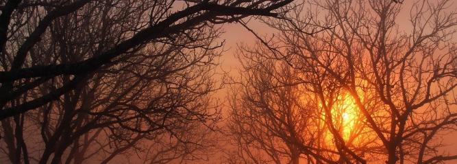 hiver_perigord_paysages.jpg