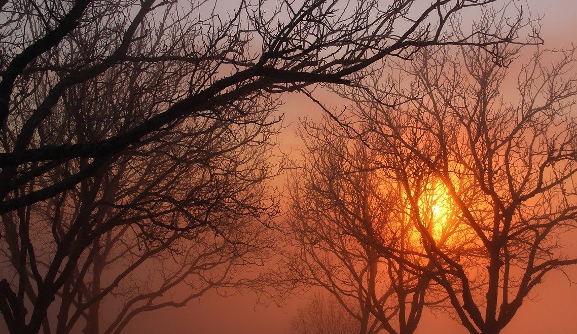 hiver_perigord_paysages.jpg